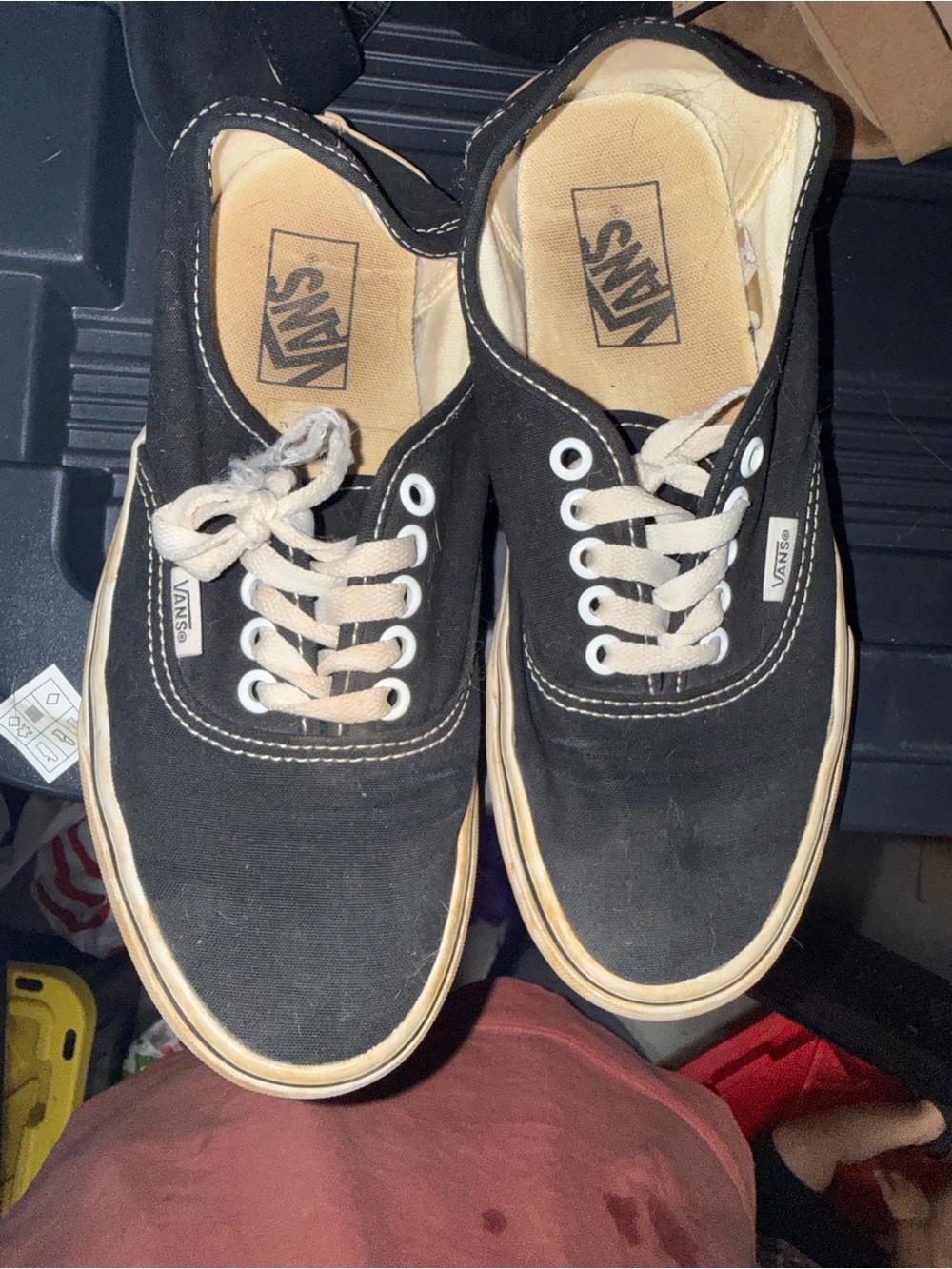 Vans Black Low-Top Canvas Sneakers with White Laces